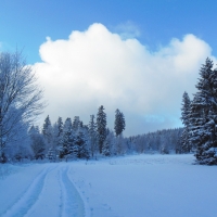 agroturystyka-w-dolinie-modrzewi-rudawy-janowickie